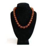 Graduated Amber Necklace