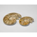 Geological Polished Fossil Ammonite Group Jurassic, 168-172 million years BP, Bacocian stage of