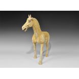 Chinese Large Ceramic Walking Horse Tang Dynasty, 618-906 AD. A finely modelled figurine of a