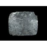 Western Asiatic Achaemenid Silver Eagle Plaque 550-330 BC. A flat-section rectangular plaque with