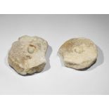 Geological Icthyosaur Dinosaur Bone Vertebrae Group Jurassic Period, 200-145 years BP. A group of