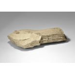 Geological Fossil Palm Wood Specimen Jurassic Period, 200 million years BC. A large trunk section of