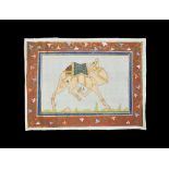 Indian Camel Painting on Silk