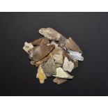 Stone Age Barbed and Tanged Arrowhead Collection