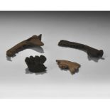 Natural History - Mammal Mandible Group