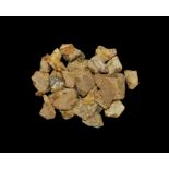 Natural History - Copal Fragments