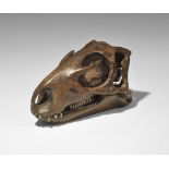 Natural History - Hypsilophodon Dinosaur Skull Museum Replica