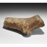 Natural History - Giant Deer Antler Section