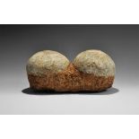 Natural History - Hadrosaur Fossil Egg Pair