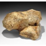 Natural History - Woolly Mammoth Foot Bone