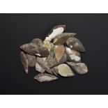 Stone Age Leaf-Shaped Arrowhead Collection