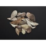 Stone Age Leaf-Shaped Arrowhead Collection