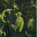 Ilan Baruch b. 1974 Cacti Oil on canvas 2012 Signed and dated on the reverse.  62X62 cm