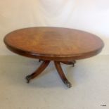 A walnut oval Coffee table on lion claw feet 50 x 115 x 85