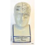 A large phrenology head