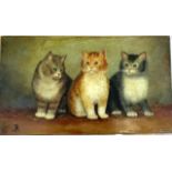 A Bessie Bamba oil on canvas of 3 Kittens 35 x 20cm