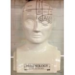 A large Phrenology head