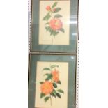 A pair of floral prints by Paul Jones 55 x 45