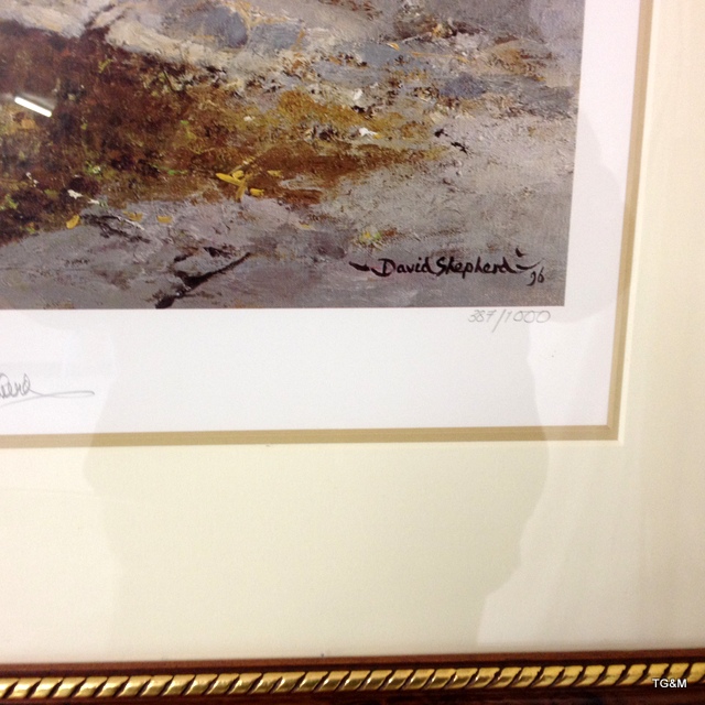 A framed signed David Shepherd print with embossment 'The Tigers of Bandhavgarh' 387/1000 96 x 73cm - Image 2 of 6