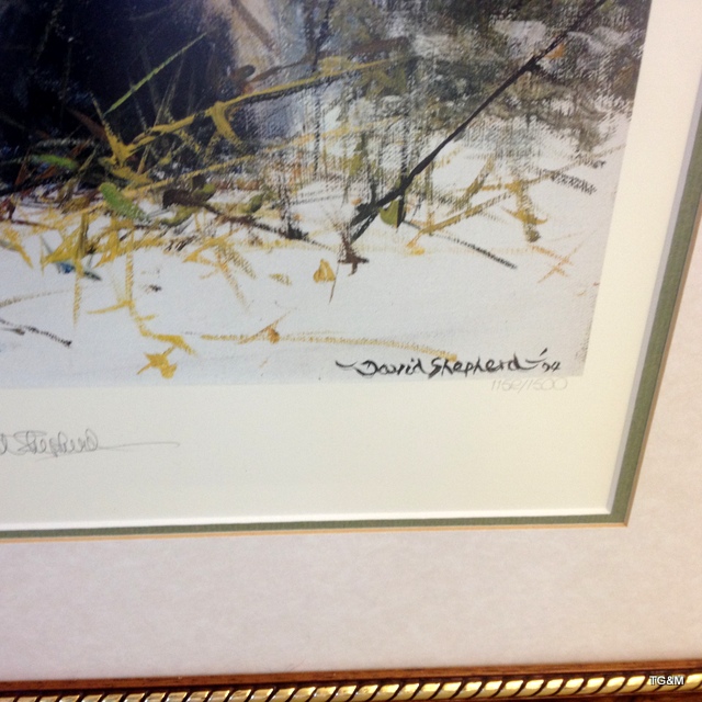A framed signed David Shepherd print with embossment ' The Pandas of Wolong' 1152/1500 89 x 74cm - Image 2 of 7
