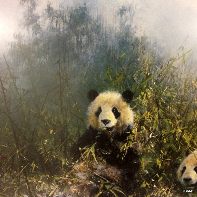 A framed signed David Shepherd print with embossment ' The Pandas of Wolong' 1152/1500 89 x 74cm - Image 6 of 7