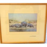 A framed signed David Shepherd print 'Hippos' 40 x 36cm