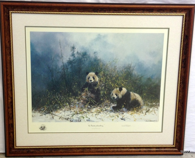 A framed signed David Shepherd print with embossment ' The Pandas of Wolong' 1152/1500 89 x 74cm