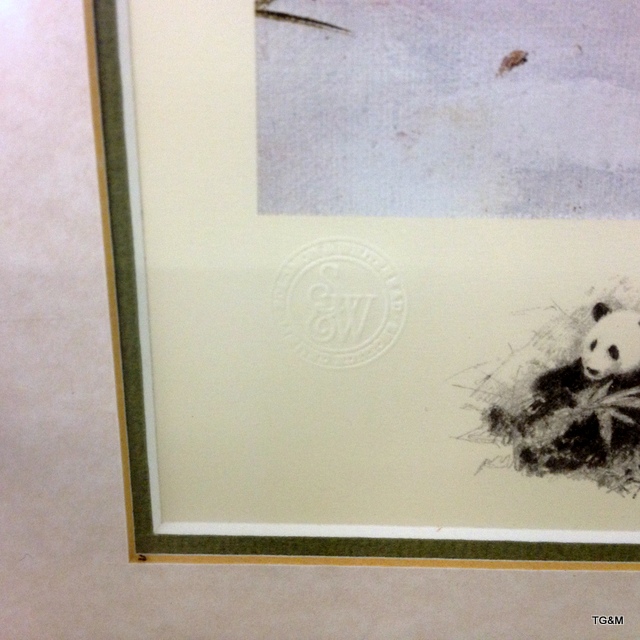 A framed signed David Shepherd print with embossment ' The Pandas of Wolong' 1152/1500 89 x 74cm - Image 7 of 7