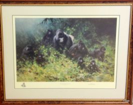 A framed signed David Shepherd print with embossment ' Mountain Gorillas of Rwanda' 207/1500 96 x