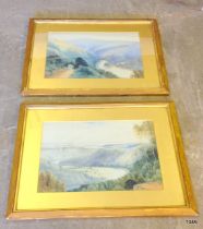 A pair of Victorian watercolours signed H Dollond - Hulke