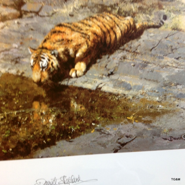 A framed signed David Shepherd print with embossment 'The Tigers of Bandhavgarh' 387/1000 96 x 73cm - Image 6 of 6