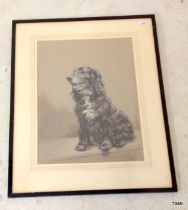 Pastel picture of a dog