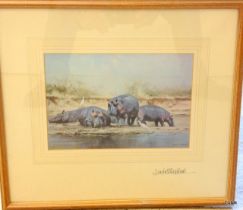 A framed signed David Shepherd print 'Hippos' 40 x 36cm