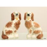 A pair of Staffordshire dogs. Measuring 20cm high