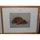 Sally Trueman - Study of a King Charles Spaniel, 20th Century pastel, signed, approx 23cm x 29cm.