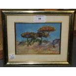 M. San Cristobal - Study of Trees, 20th Century oil on board, signed, approx 10cm x 14cm, together