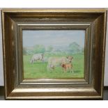 Daphne Lee - ' Cows and Calves', watercolour on ivorine, signed recto, titled and dated 1985