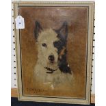 G.L. Whelpton - Study of a Terrier's Head, oil on canvas, signed and dated 1915, approx 34.5cm x