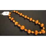 A single row necklace of thirteen graduated irregular polished butterscotch coloured amber beads,