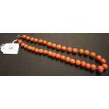 A single row necklace of thirty-seven graduated coral beads, on a boltring clasp, length approx
