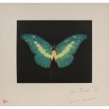 Damien Hirst - Butterfly in Green, etching with aquatint, signed and inscribed 'for Jane' and