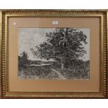 Henri Joseph Harpignies - 'The Old Oak', charcoal drawing, signed and dated 1910 recto, titled label