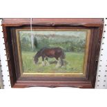 Manner of Alfred J. Munnings - Study of a Horse, oil on board, approx 19cm x 24cm.