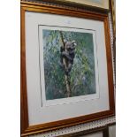 After David Shepherd - Koala, colour print, signed and editioned 273/975 in pencil, approx 54.5cm