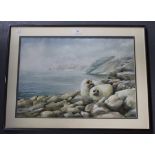 Neil Cox - Seal Pups, watercolour, signed, approx 35cm x 50.5cm.