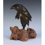 Alan Glasby - a modern brown patinated cast bronze head of an eagle, signed 'Alan Glasby 04', raised