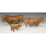 A group of three Beswick limited edition models of Limousin Bull, model No. 2463B, Limousin Cow,