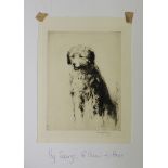 George Soper - Study of a Dog, early 20th Century monochrome etching, signed in pencil, approx 34.