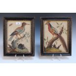 Circle of Samuel Dixon - Studies of Exotic Birds perched on Branches, a pair of basso relievo