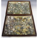 Two 19th Century stained pine table top collector's display cases, containing various mineral